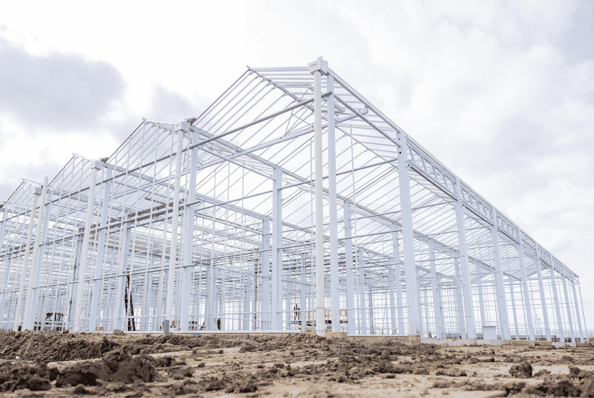 Atrium Agri combines forces of Bom Group and Havecon in new organization-image
